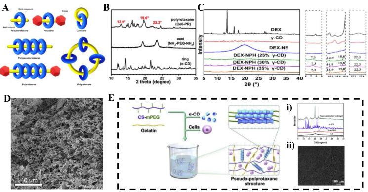 https://cdn.ncbi.nlm.nih.gov/pmc/blobs/b8bb/12348549/26a040151fdc/molecules-30-03225-g001.jpg