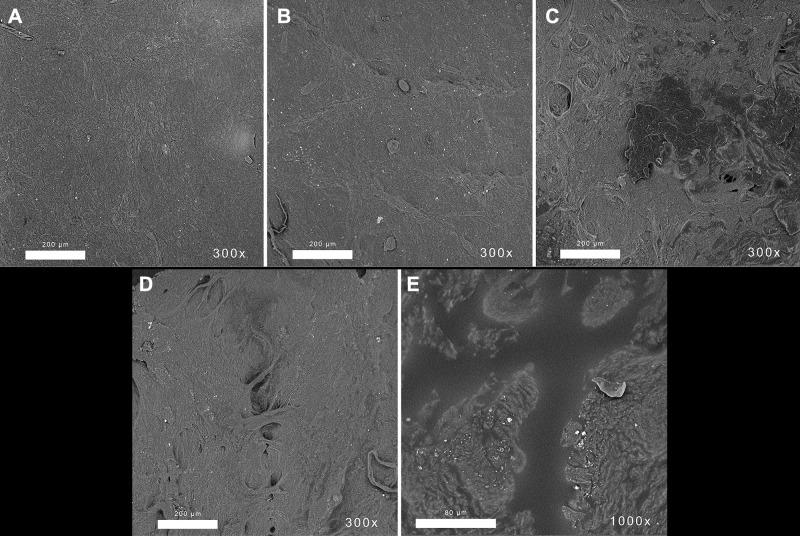 https://cdn.ncbi.nlm.nih.gov/pmc/blobs/b8bb/8665888/7c808aa30121/NSA-14-221-g0012.jpg