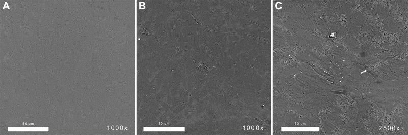 https://cdn.ncbi.nlm.nih.gov/pmc/blobs/b8bb/8665888/987fef5c9f1b/NSA-14-221-g0011.jpg