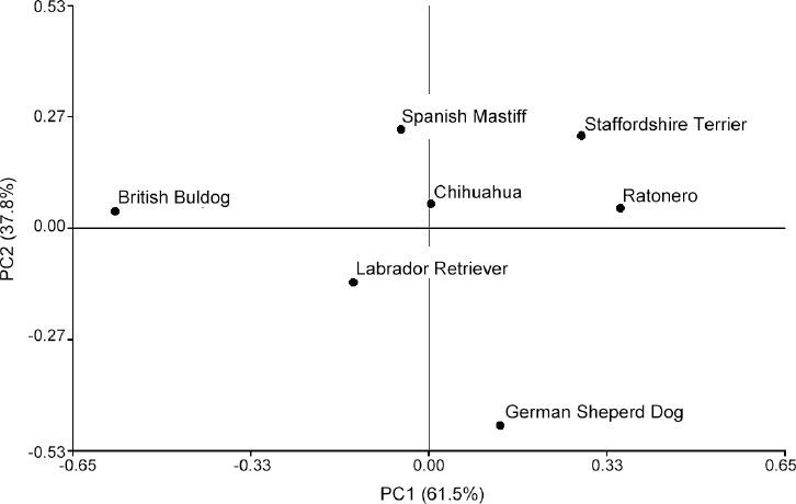 https://cdn.ncbi.nlm.nih.gov/pmc/blobs/b8bc/5312210/d1cf5cd82456/AJA-19-149-g004.jpg