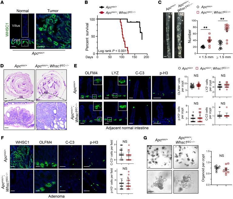 https://cdn.ncbi.nlm.nih.gov/pmc/blobs/b8be/9012282/05f117c9fc7c/jci-132-153167-g041.jpg