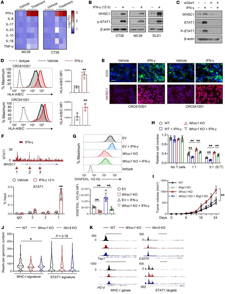 https://cdn.ncbi.nlm.nih.gov/pmc/blobs/b8be/9012282/0d5ca50bc477/jci-132-153167-g046.jpg