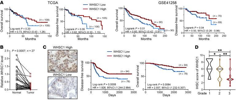 https://cdn.ncbi.nlm.nih.gov/pmc/blobs/b8be/9012282/15a3b15d9cd9/jci-132-153167-g040.jpg