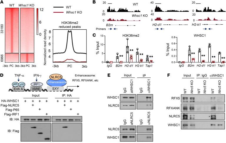 https://cdn.ncbi.nlm.nih.gov/pmc/blobs/b8be/9012282/32e00b967faf/jci-132-153167-g044.jpg