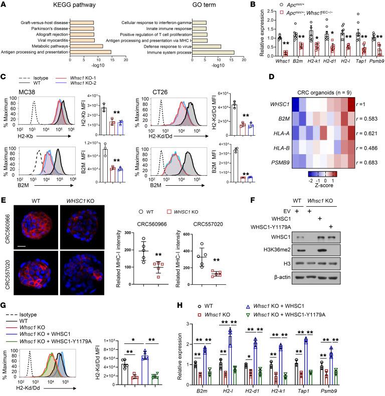 https://cdn.ncbi.nlm.nih.gov/pmc/blobs/b8be/9012282/bd06b2fd751b/jci-132-153167-g042.jpg