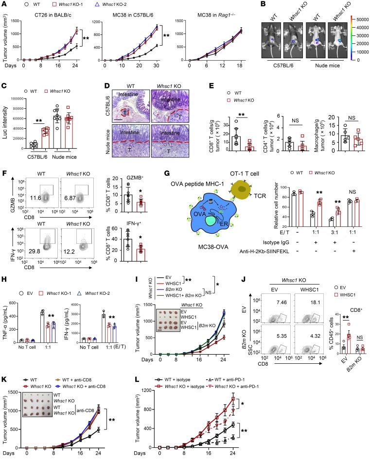 https://cdn.ncbi.nlm.nih.gov/pmc/blobs/b8be/9012282/f356800f8cb6/jci-132-153167-g043.jpg