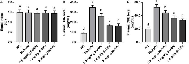 https://cdn.ncbi.nlm.nih.gov/pmc/blobs/b8bf/10276609/20673ccb420f/IJN-18-3157-g0002.jpg