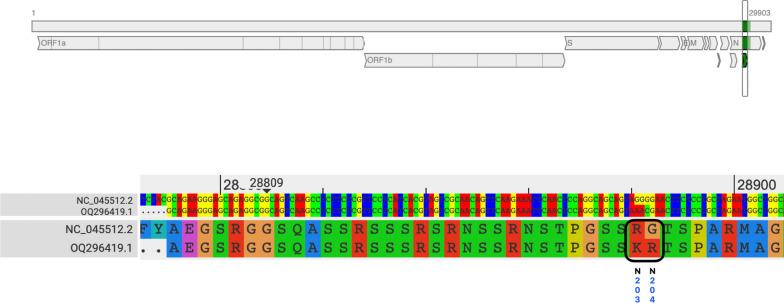 https://cdn.ncbi.nlm.nih.gov/pmc/blobs/b8bf/10675927/9a8f0d759817/12985_2023_2243_Fig1_HTML.jpg