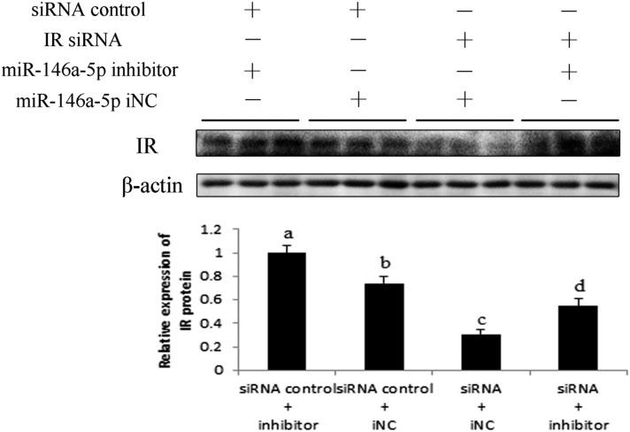 https://cdn.ncbi.nlm.nih.gov/pmc/blobs/b8bf/4959853/909987ced9fe/1360fig11.jpg