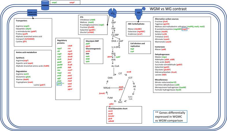 https://cdn.ncbi.nlm.nih.gov/pmc/blobs/b8bf/9472385/db4ef46810a4/12934_2022_1909_Fig6_HTML.jpg