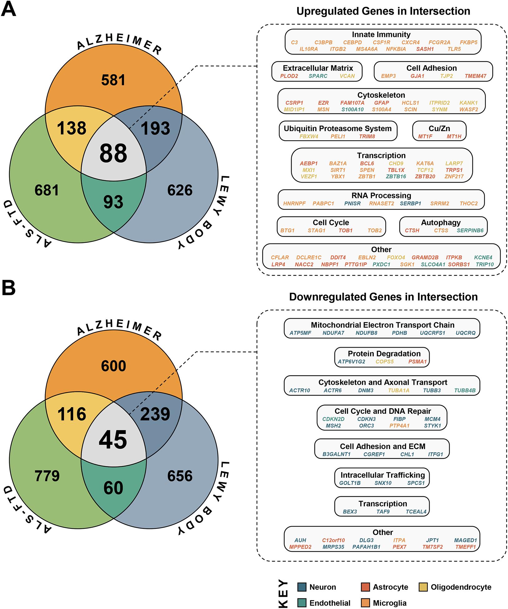 https://cdn.ncbi.nlm.nih.gov/pmc/blobs/b8c0/7856076/ea0c94f25537/nihms-1658935-f0003.jpg
