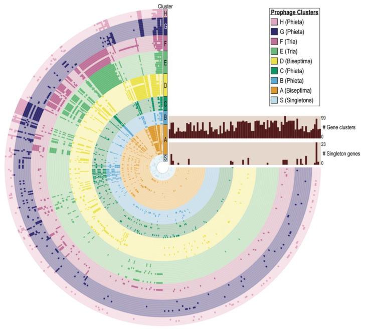 https://cdn.ncbi.nlm.nih.gov/pmc/blobs/b8c1/7926752/872253360288/viruses-13-00337-g002.jpg