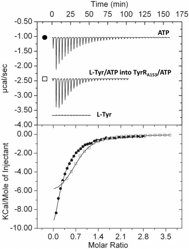 https://cdn.ncbi.nlm.nih.gov/pmc/blobs/b8c2/10364317/02ccd385921c/MBT2-16-1671-g007.jpg