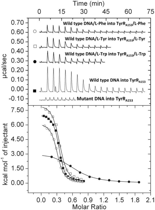 https://cdn.ncbi.nlm.nih.gov/pmc/blobs/b8c2/10364317/c43a894e0b8d/MBT2-16-1671-g008.jpg