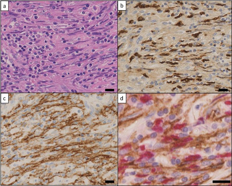 https://cdn.ncbi.nlm.nih.gov/pmc/blobs/b8c2/9733763/69d239d230ae/40792_2022_1572_Fig3_HTML.jpg