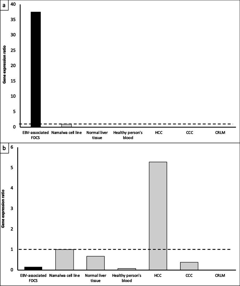 https://cdn.ncbi.nlm.nih.gov/pmc/blobs/b8c2/9733763/d7c6476e8a9d/40792_2022_1572_Fig4_HTML.jpg