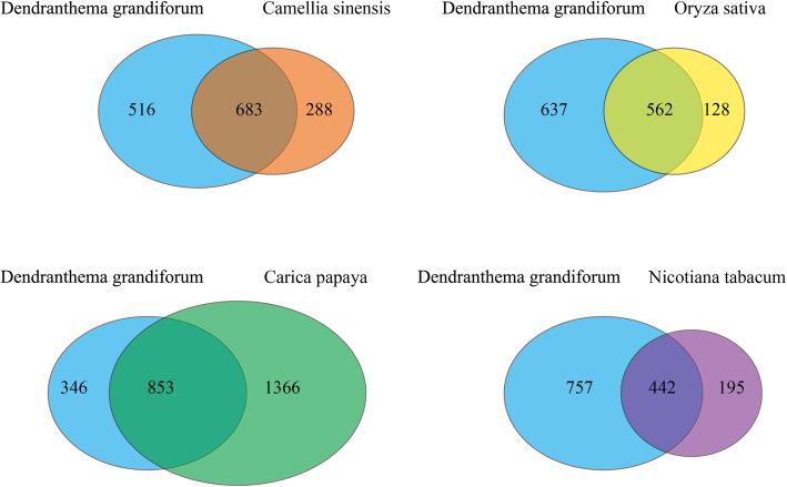 https://cdn.ncbi.nlm.nih.gov/pmc/blobs/b8c3/7809856/95feecdd5594/12864_2020_7365_Fig3_HTML.jpg