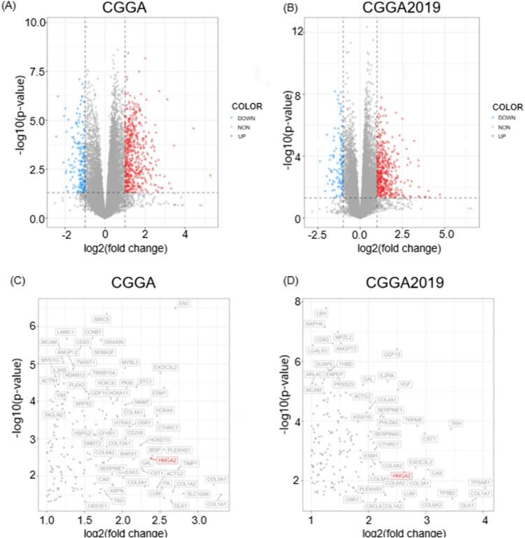 https://cdn.ncbi.nlm.nih.gov/pmc/blobs/b8c4/12084277/12745f320384/701_2025_6548_Fig1_HTML.jpg
