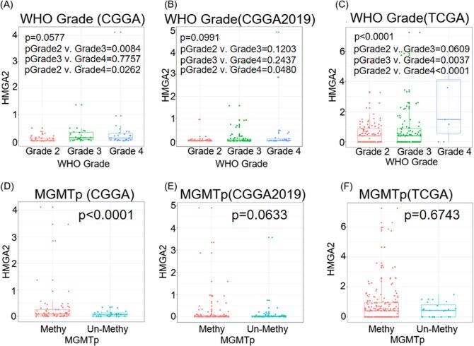 https://cdn.ncbi.nlm.nih.gov/pmc/blobs/b8c4/12084277/2586e4c03ac6/701_2025_6548_Fig2_HTML.jpg