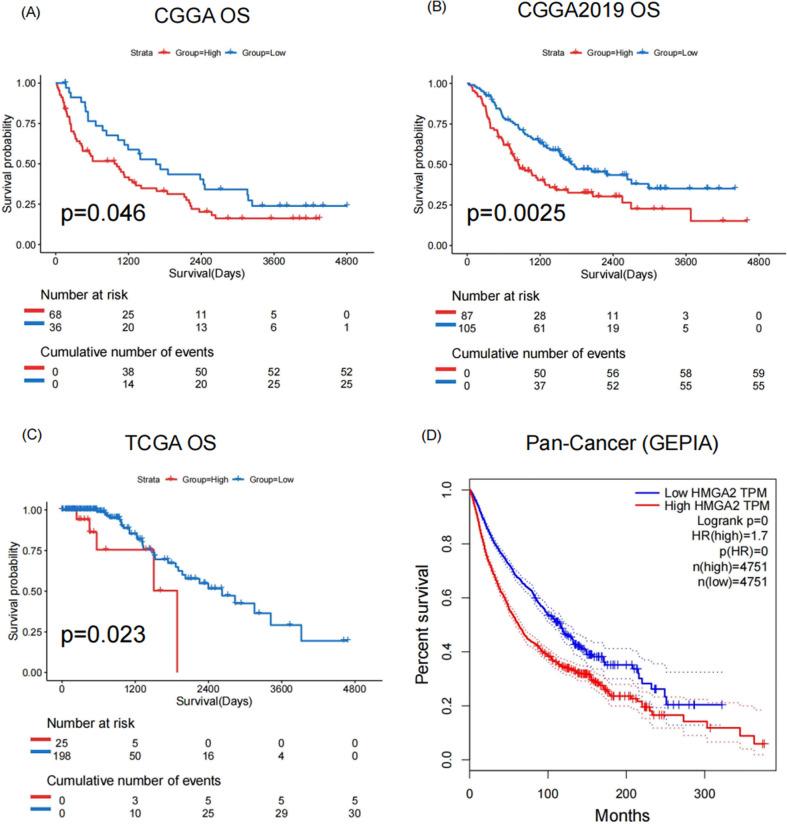 https://cdn.ncbi.nlm.nih.gov/pmc/blobs/b8c4/12084277/9be1d37f20d3/701_2025_6548_Fig6_HTML.jpg