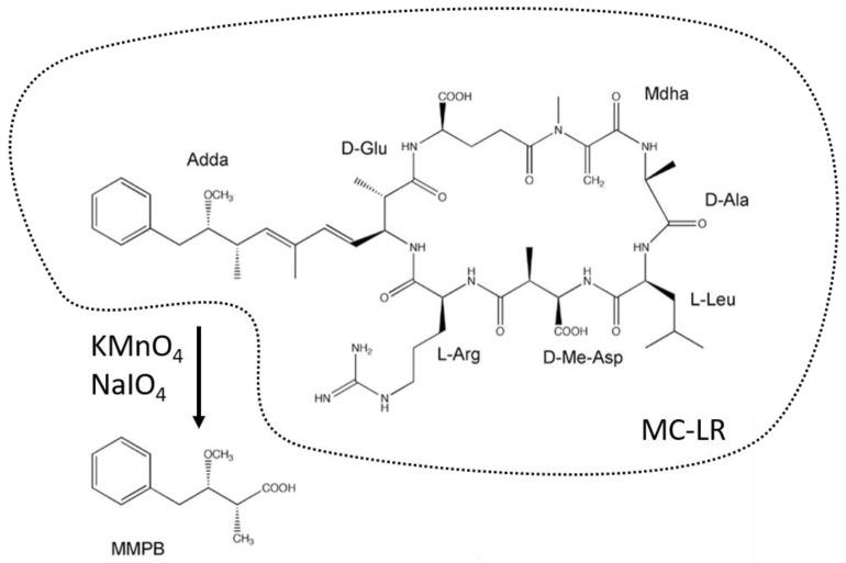 https://cdn.ncbi.nlm.nih.gov/pmc/blobs/b8c4/9416067/c4124b43c537/toxins-14-00550-g002.jpg