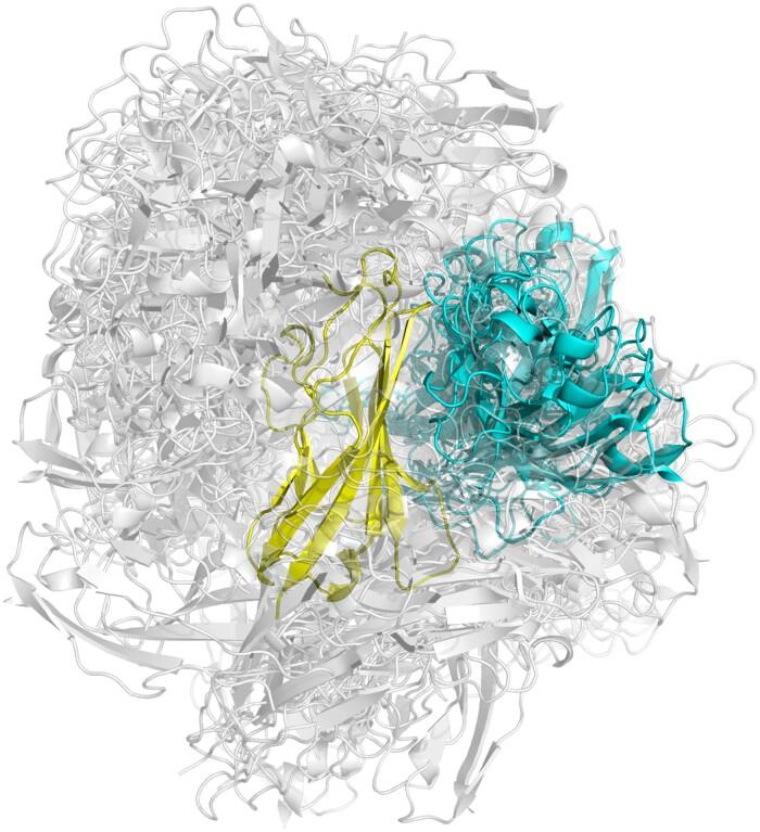 https://cdn.ncbi.nlm.nih.gov/pmc/blobs/b8c7/10491951/37fe1f156573/btad510f3.jpg