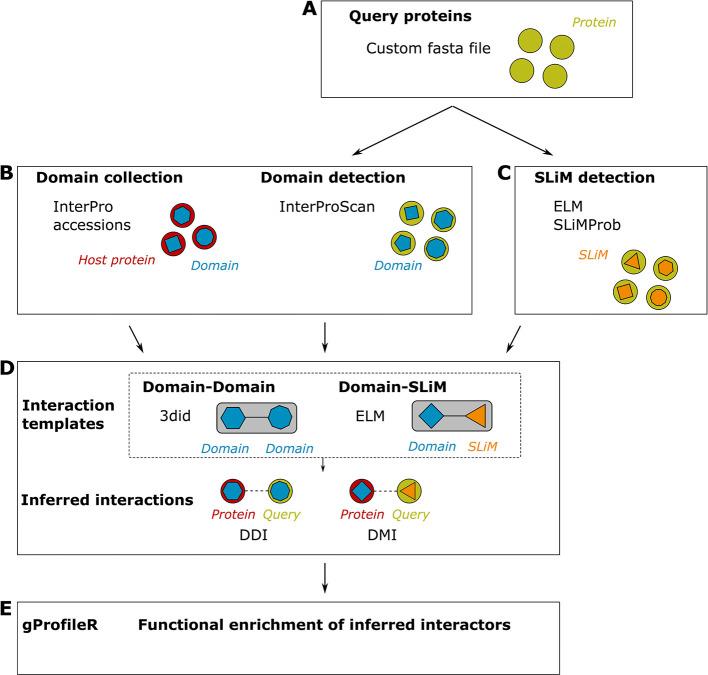 https://cdn.ncbi.nlm.nih.gov/pmc/blobs/b8c7/11982806/cf649165456f/f1000research-14-179574-g0000.jpg