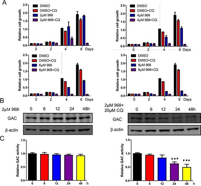 https://cdn.ncbi.nlm.nih.gov/pmc/blobs/b8c8/5438631/8c33051375e7/oncotarget-08-28063-g005.jpg