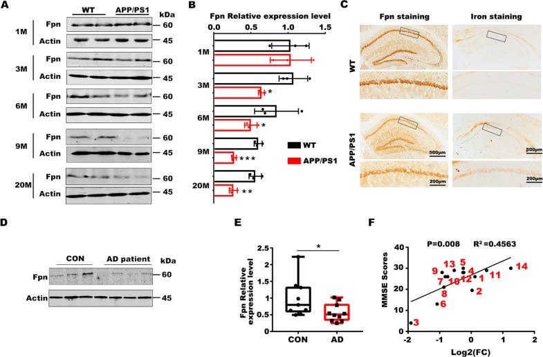 https://cdn.ncbi.nlm.nih.gov/pmc/blobs/b8c8/8166828/357039b71126/41418_2020_685_Fig1_HTML.jpg
