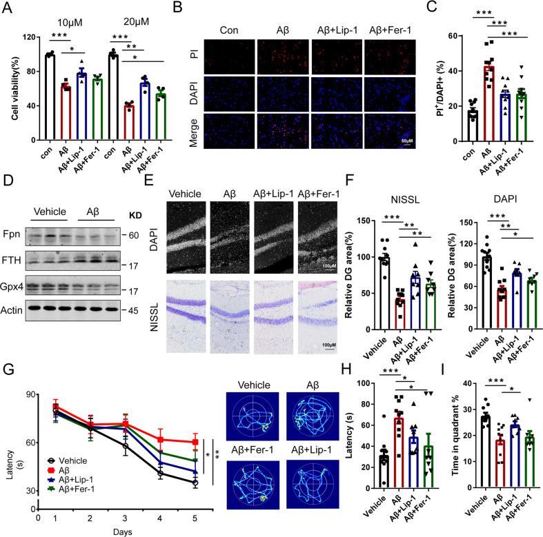 https://cdn.ncbi.nlm.nih.gov/pmc/blobs/b8c8/8166828/dcbed68c9b09/41418_2020_685_Fig5_HTML.jpg