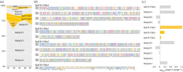 https://cdn.ncbi.nlm.nih.gov/pmc/blobs/b8c9/8692038/96fe9cd37d37/rsob210242f04.jpg