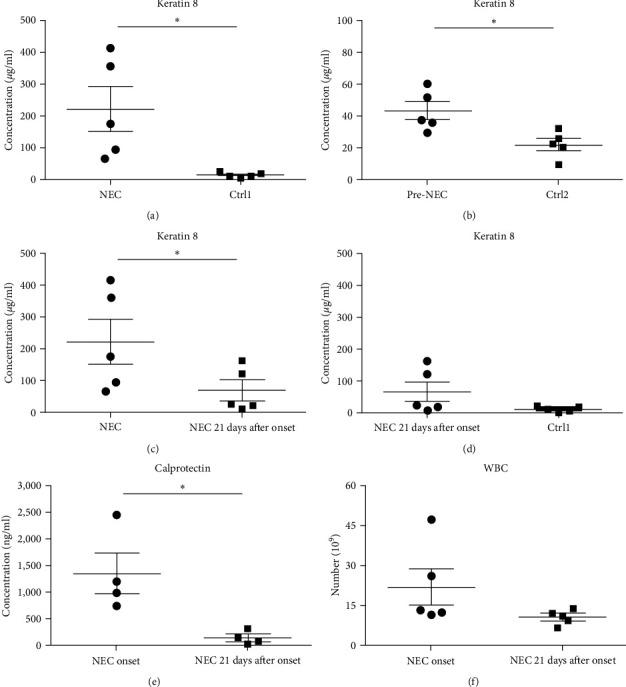 https://cdn.ncbi.nlm.nih.gov/pmc/blobs/b8ca/10030213/f21de892c16f/JIR2023-5356646.002.jpg