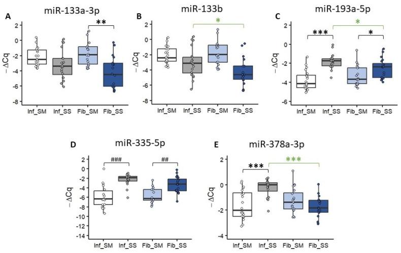 https://cdn.ncbi.nlm.nih.gov/pmc/blobs/b8ca/11354456/0d227ec22412/ijms-25-08826-g003.jpg