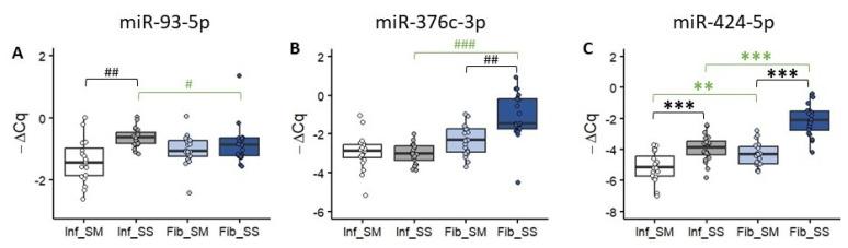 https://cdn.ncbi.nlm.nih.gov/pmc/blobs/b8ca/11354456/3e90c41d57b7/ijms-25-08826-g002.jpg