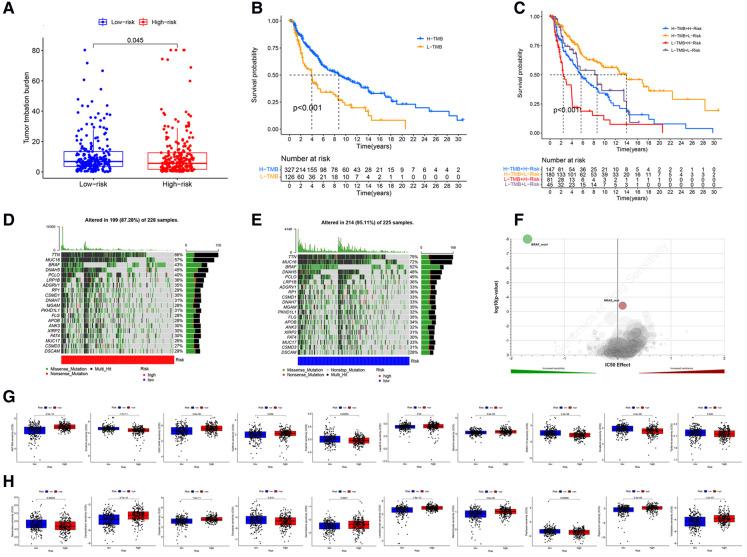 https://cdn.ncbi.nlm.nih.gov/pmc/blobs/b8cc/9354448/bed7a7f768cb/fsurg-09-860806-g009.jpg