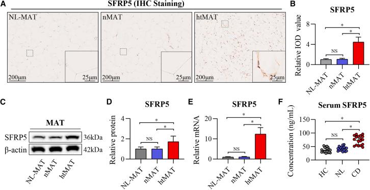 https://cdn.ncbi.nlm.nih.gov/pmc/blobs/b8cd/11699250/2d623f01d6b9/gr1.jpg