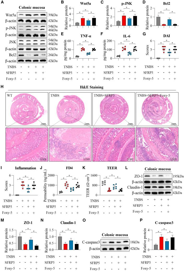 https://cdn.ncbi.nlm.nih.gov/pmc/blobs/b8cd/11699250/36d1ead71c9e/gr9.jpg