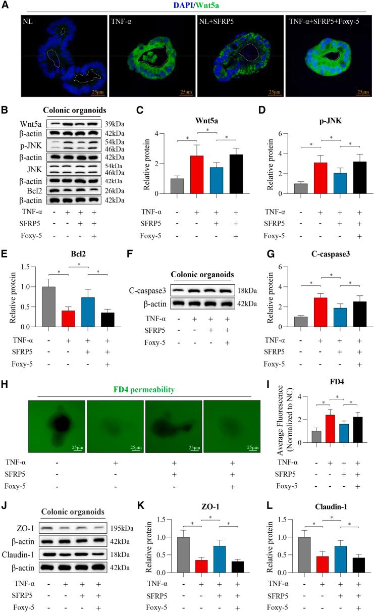 https://cdn.ncbi.nlm.nih.gov/pmc/blobs/b8cd/11699250/d9ad0bd39c2a/gr5.jpg