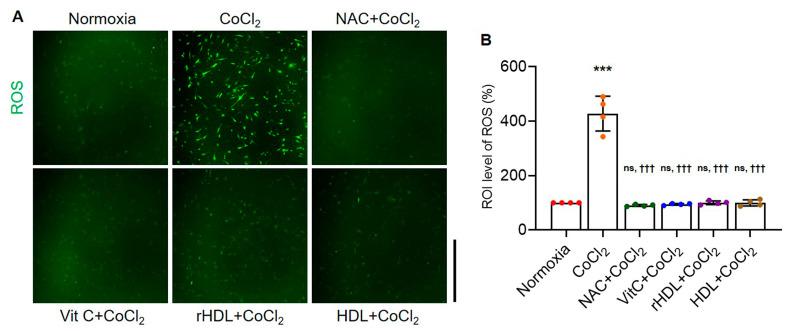 https://cdn.ncbi.nlm.nih.gov/pmc/blobs/b8d0/11047627/a64fa98b8e0d/antioxidants-13-00497-g001.jpg