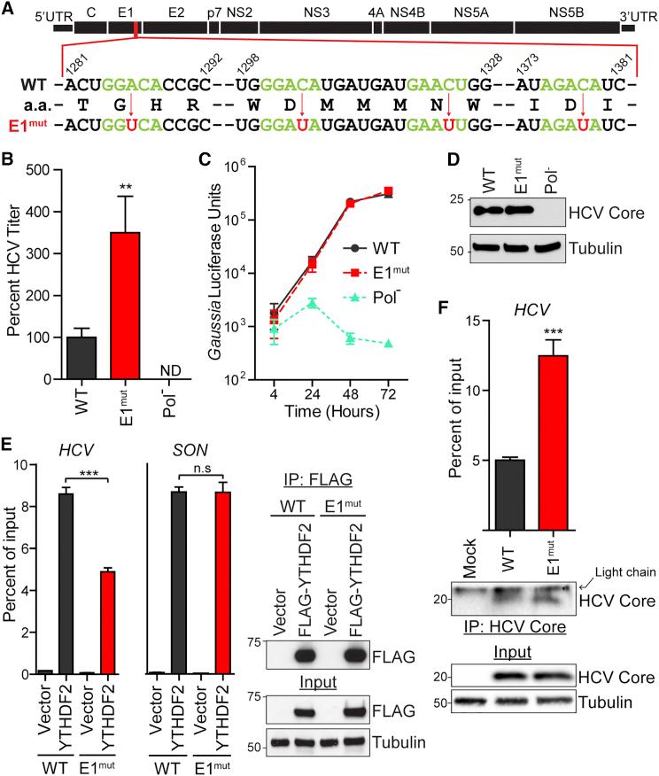 https://cdn.ncbi.nlm.nih.gov/pmc/blobs/b8d3/5364334/ce3e1a248208/gr5.jpg