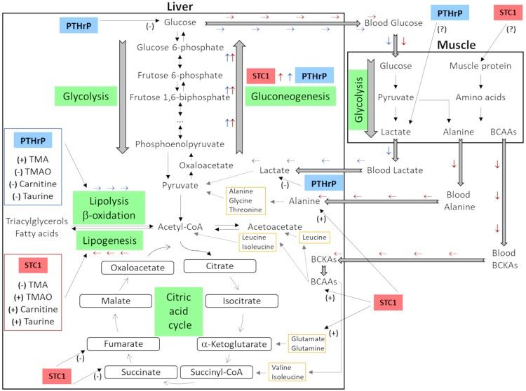 https://cdn.ncbi.nlm.nih.gov/pmc/blobs/b8d6/6346029/1ec925e9c4de/41598_2018_36821_Fig7_HTML.jpg