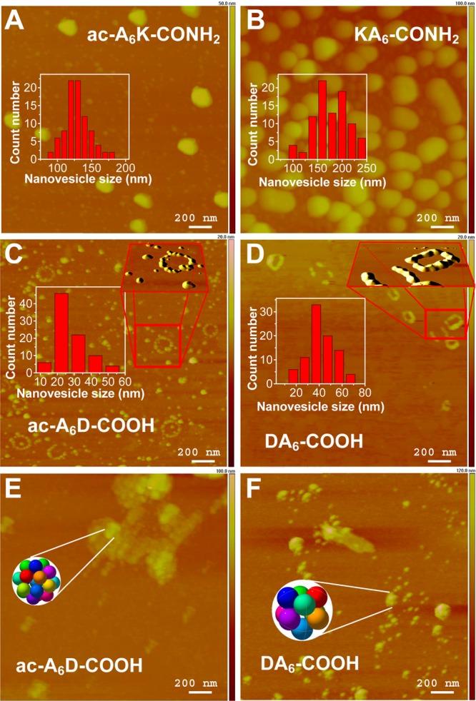 https://cdn.ncbi.nlm.nih.gov/pmc/blobs/b8d8/4059226/544c069cc078/am-2014-01673x_0001.jpg