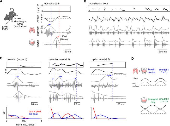 https://cdn.ncbi.nlm.nih.gov/pmc/blobs/b8da/11223766/fd77256b3990/elife-93079-fig3.jpg