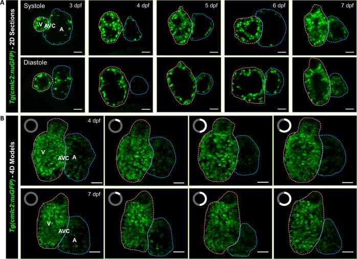 https://cdn.ncbi.nlm.nih.gov/pmc/blobs/b8db/10283270/171b4da122aa/ABPID9-000007-026112_1-g004.jpg