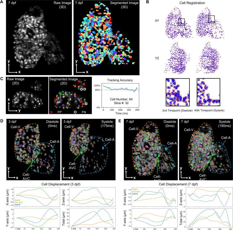 https://cdn.ncbi.nlm.nih.gov/pmc/blobs/b8db/10283270/50de33b36327/ABPID9-000007-026112_1-g005.jpg