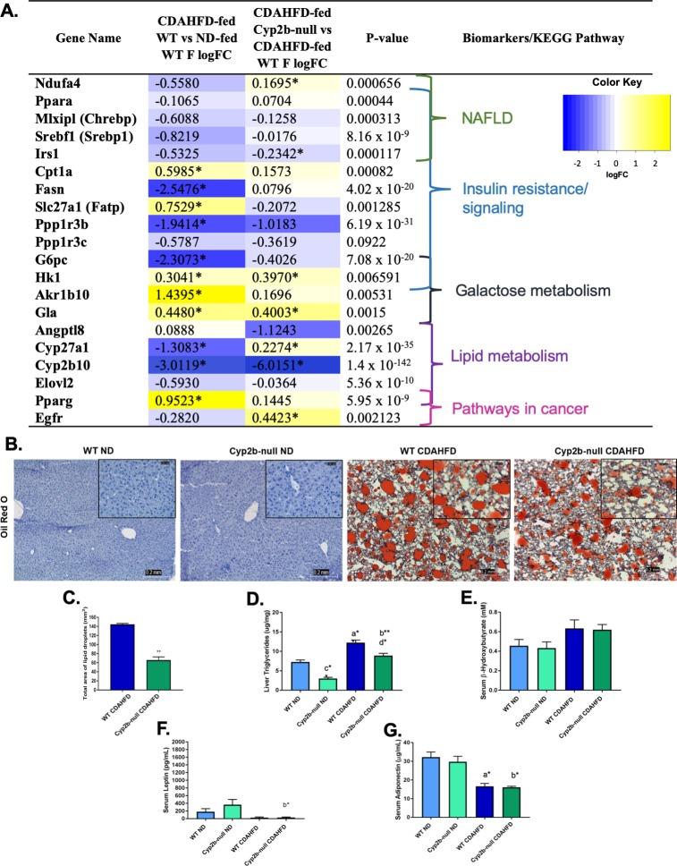 https://cdn.ncbi.nlm.nih.gov/pmc/blobs/b8db/7064244/752da423f4c0/pone.0229896.g007.jpg