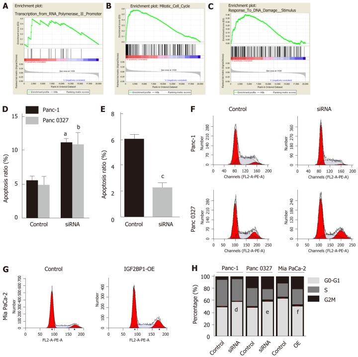 https://cdn.ncbi.nlm.nih.gov/pmc/blobs/b8dd/6824281/699877cf2bb8/WJG-25-6063-g003.jpg