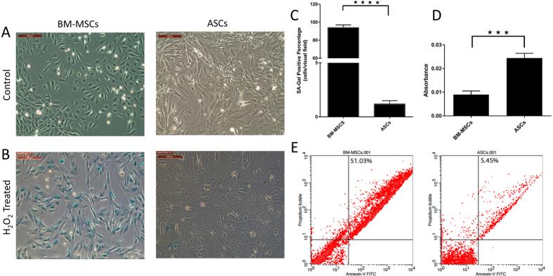 https://cdn.ncbi.nlm.nih.gov/pmc/blobs/b8de/5121630/7ac39ae8417f/srep37801-f2.jpg