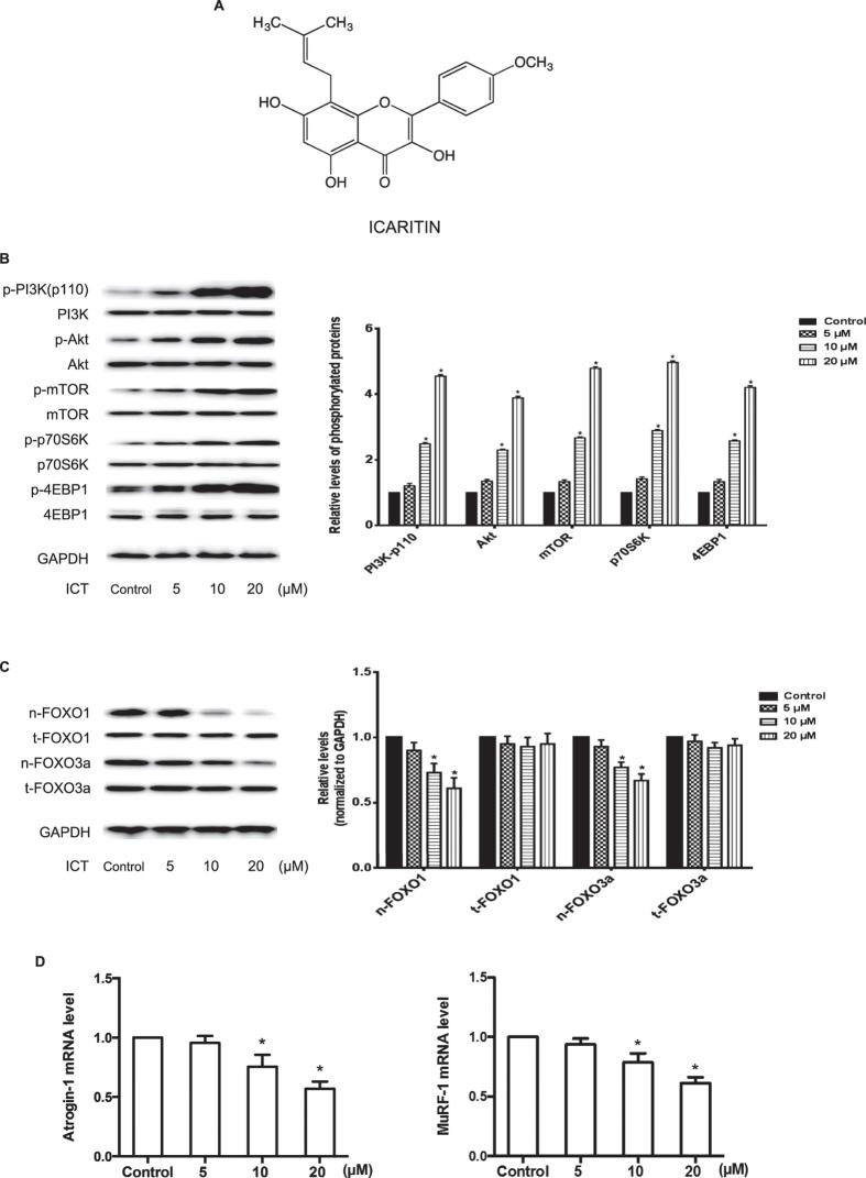 https://cdn.ncbi.nlm.nih.gov/pmc/blobs/b8df/4735824/aff3d9dde4b8/srep20300-f1.jpg