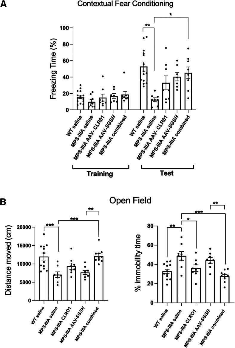 https://cdn.ncbi.nlm.nih.gov/pmc/blobs/b8e0/11573617/ae9194486e5d/gr3.jpg